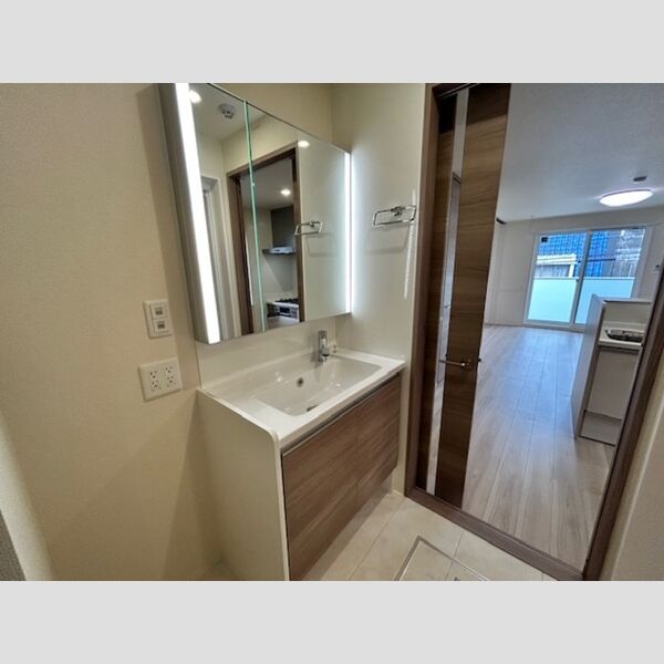 洗面所 (洗髪洗面化粧台　ツイン照明付き)