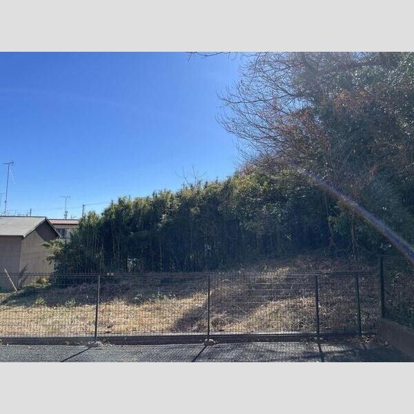 現地周辺 (眺望)