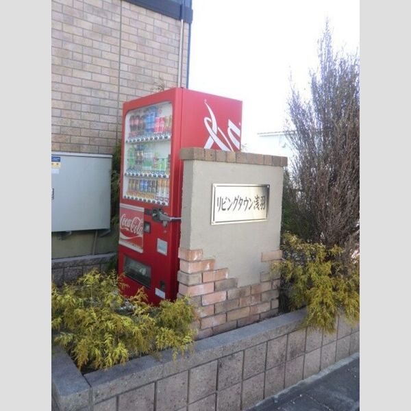 現地周辺 (共有部)