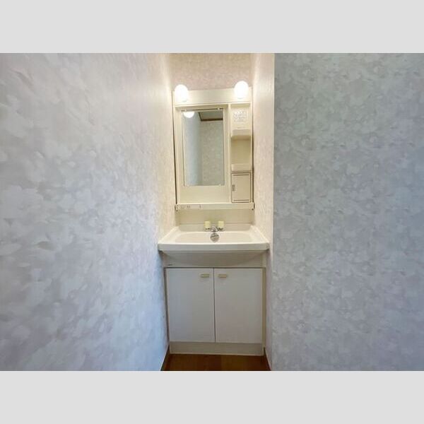 洗面所 (洗面所)