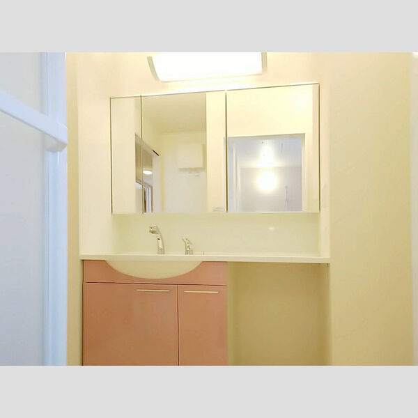 洗面所 (洗髪洗面化粧台)