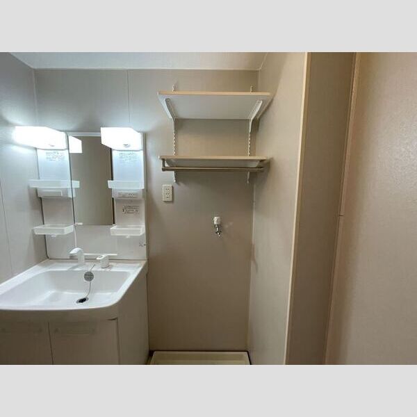 その他 (洗面所棚)