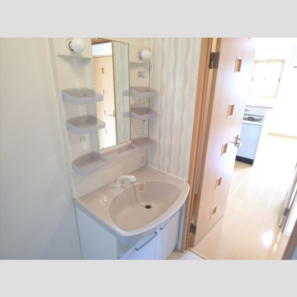 洗面所 (洗髪洗面化粧台)