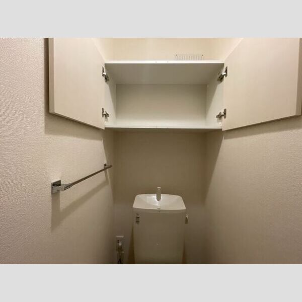 その他 (トイレ収納)