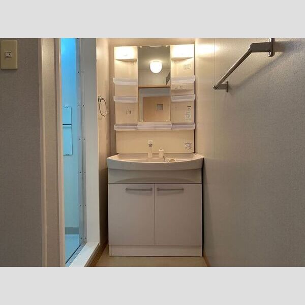 洗面所 (洗髪洗面化粧台)