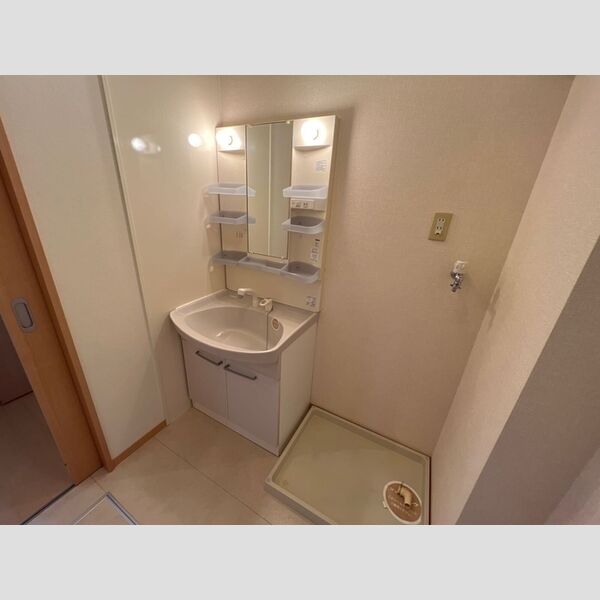 洗面所 (洗髪洗面化粧台)
