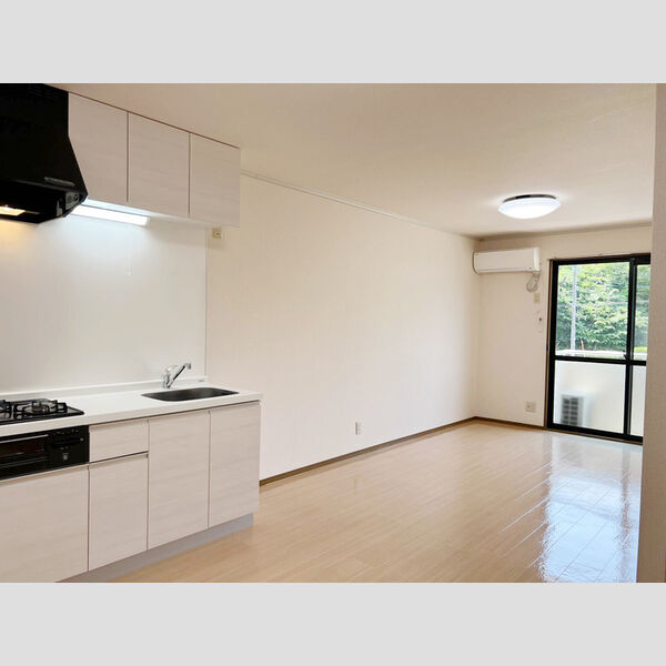 居室・リビング (LDK)