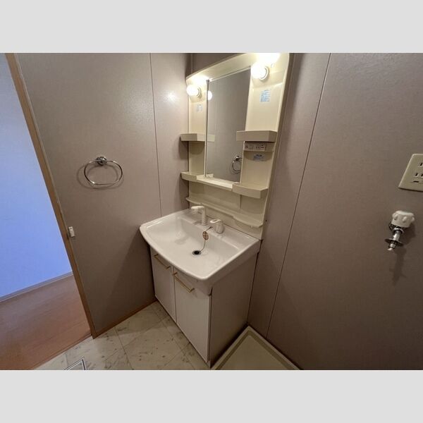 洗面所 (洗面所)