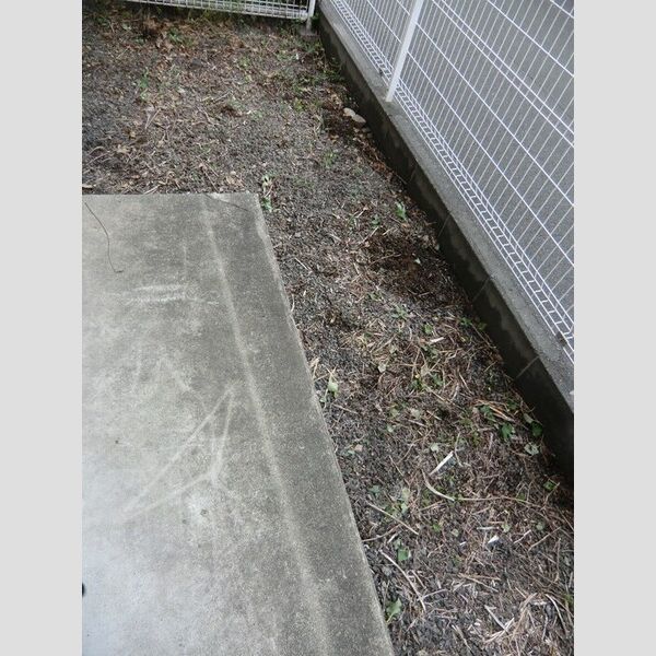 その他 (専用庭)