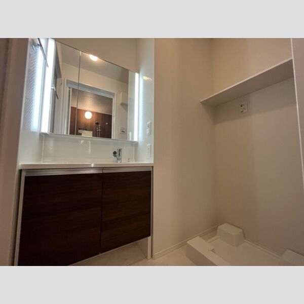 洗面所 (洗面所)