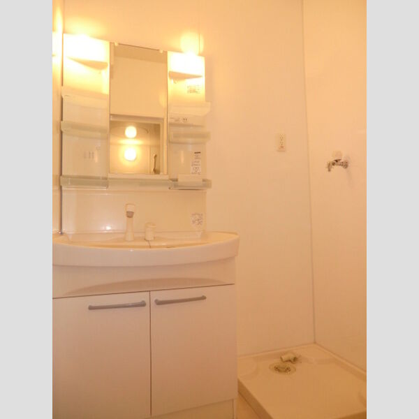 洗面所 (洗髪洗面化粧台)