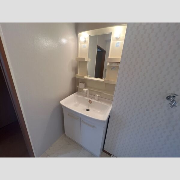 洗面所 (洗髪洗面化粧台)