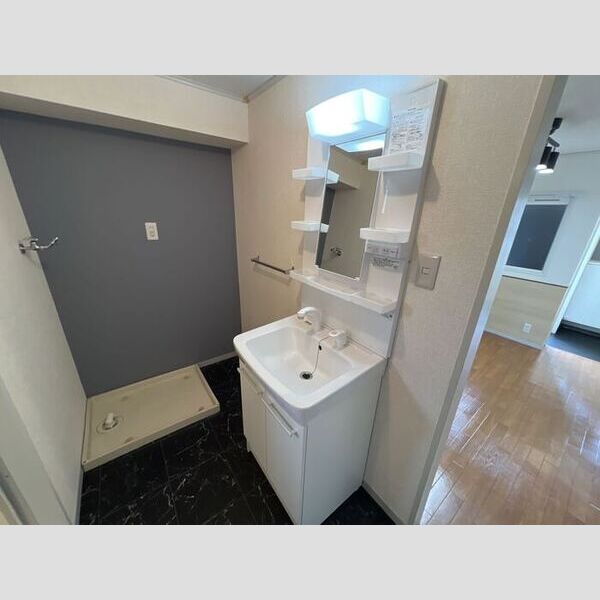 洗面所 (洗面所)