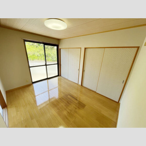 その他 (南西洋室)