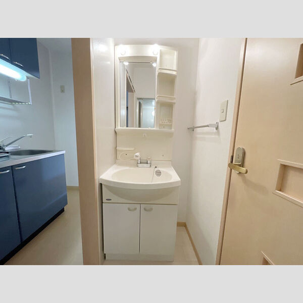 洗面所 (洗面所)