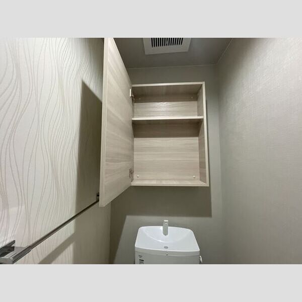その他 (トイレ収納)