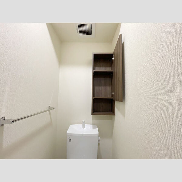 その他 (トイレ収納)