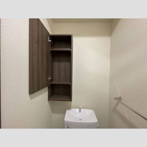 その他 (トイレ収納)