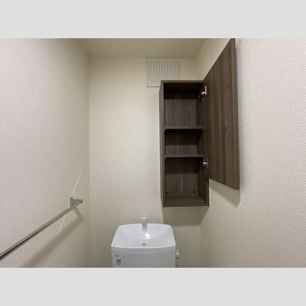その他 (トイレ収納)