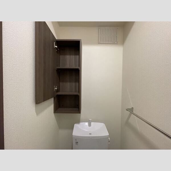 その他 (トイレ収納)