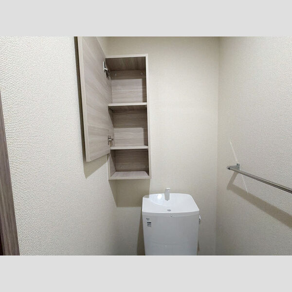 その他 (トイレ収納)