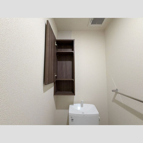 その他 (トイレ収納)