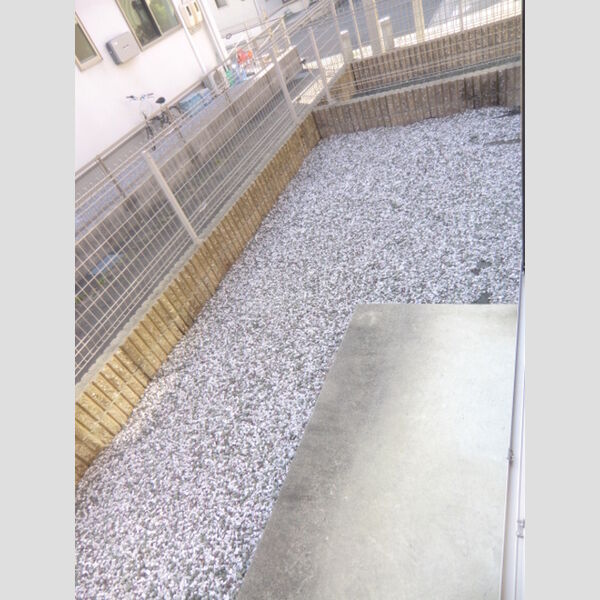 その他 (専用庭)