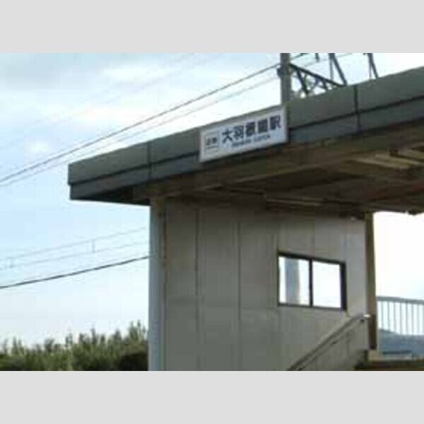 現地周辺 (近鉄大羽根園駅-30m)