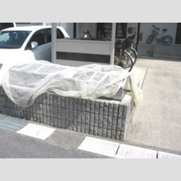 現地周辺 (ごみ置場)