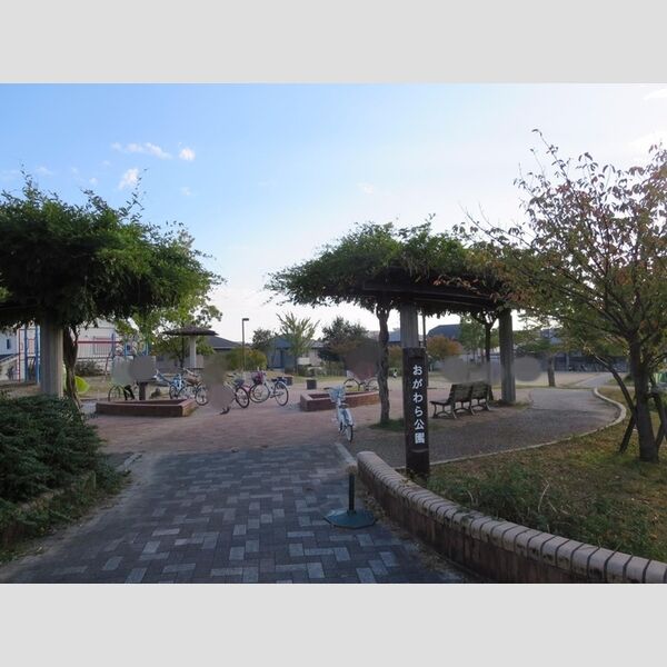 現地周辺 (おがわら公園)