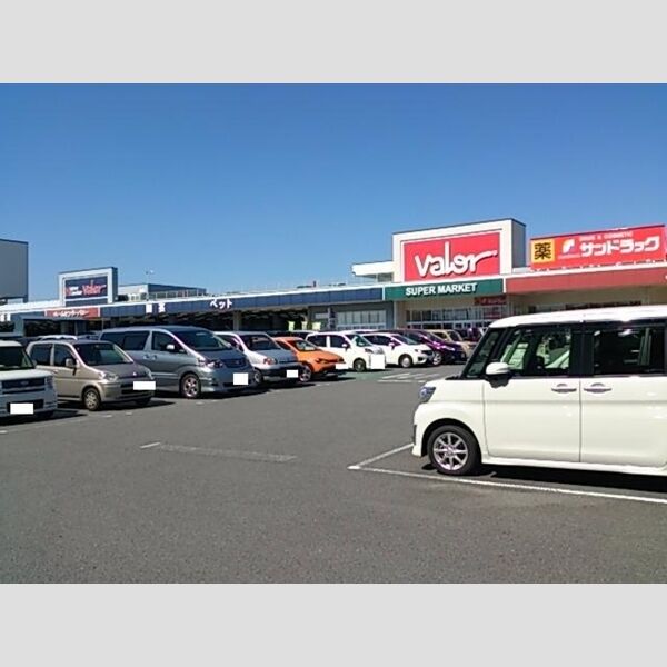 現地周辺 (スーパー、ホームセンター)