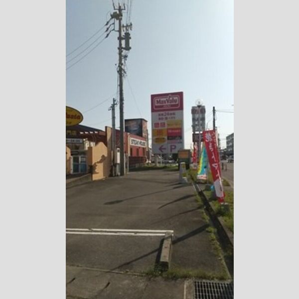 現地周辺 (スーパーなど　徒歩10分(800m))