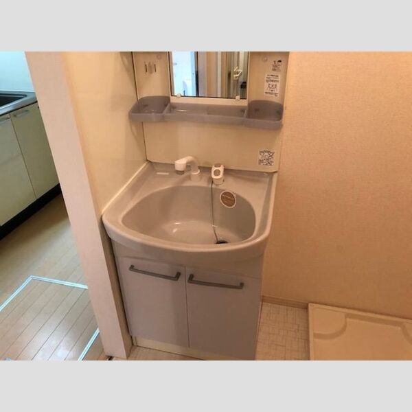 洗面所 (洗髪洗面化粧台)