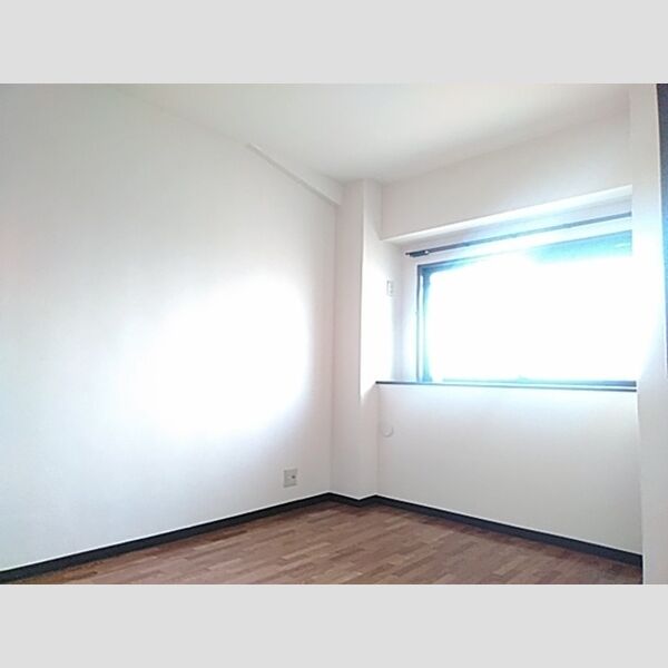 その他 (南西洋室)