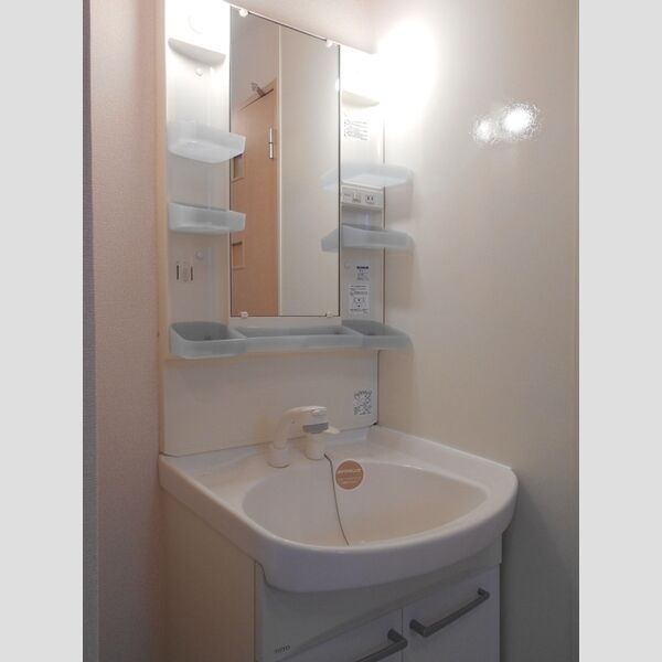 洗面所 (洗髪洗面化粧台)