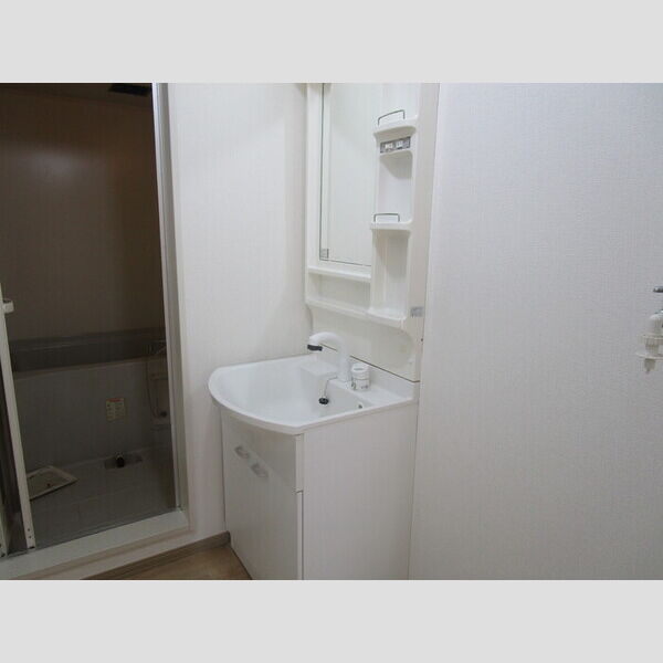 洗面所 (洗髪洗面化粧台)
