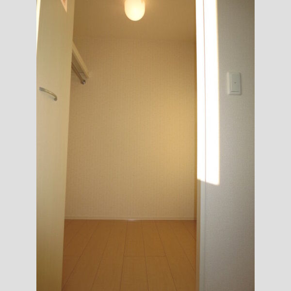 収納 (洋間収納(ウォークインクローゼット))