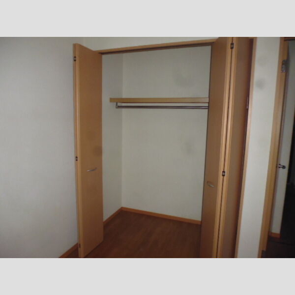 収納 (クローゼット内)