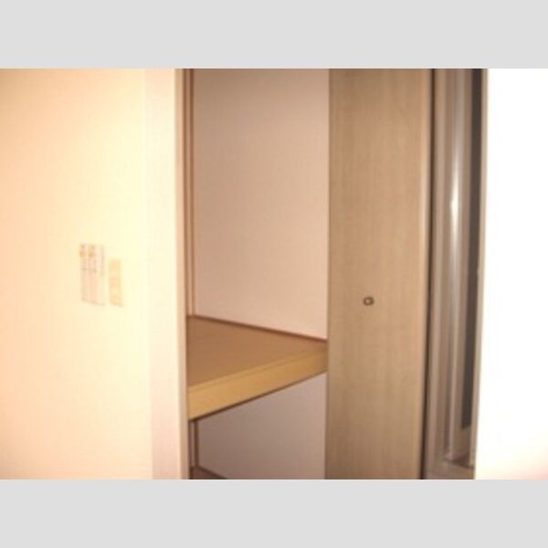 その他 (洗面収納)