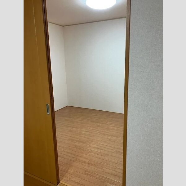 その他 (南西洋室)