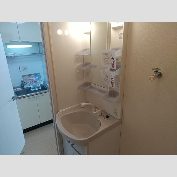 洗面所 (洗髪洗面化粧台)