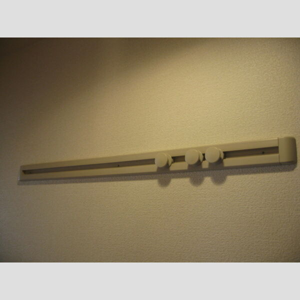 その他 (ハングバ-)