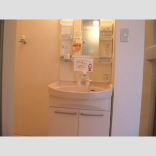 洗面所 (洗髪洗面化粧台)