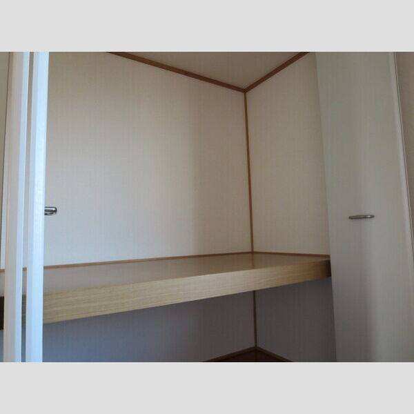 収納 (洋室北物入)