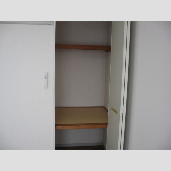 収納 (押し入れ2)