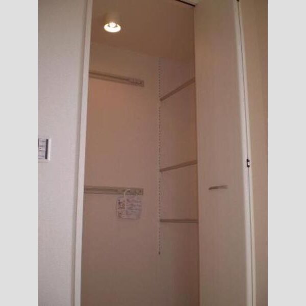 収納 (ワンステップクローゼット(多機能収納))