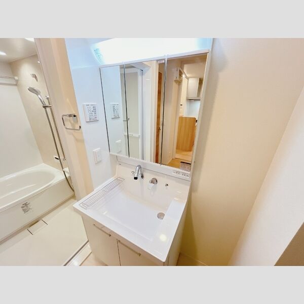 洗面所 (洗髪洗面化粧台)