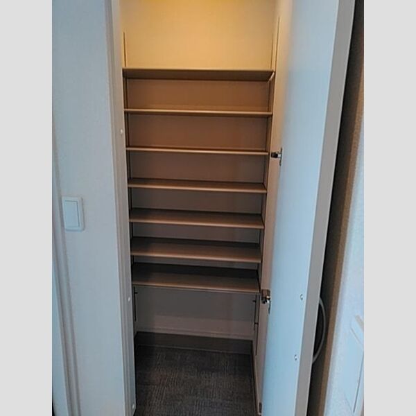 その他 (シューズボックス)