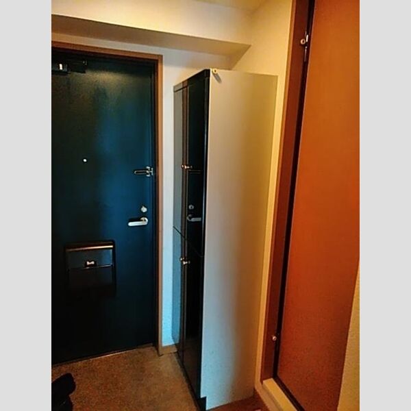 玄関 (シューズボックス)