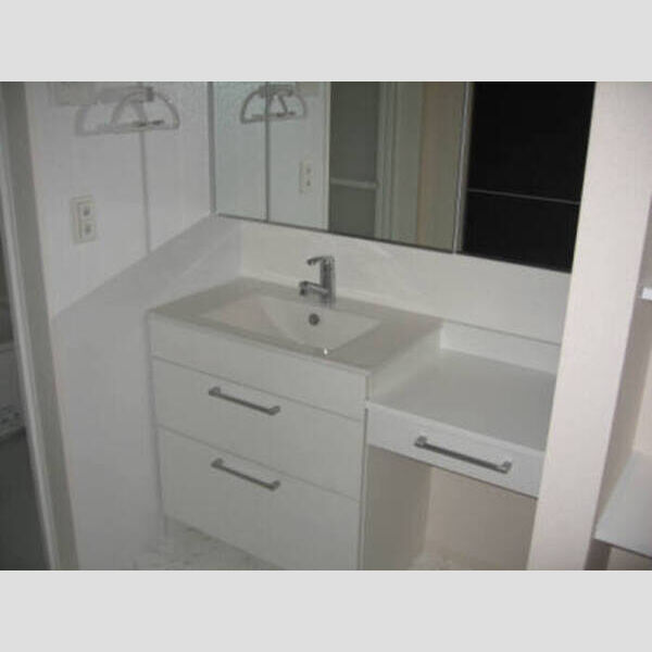 洗面所 (B棟102洗面)